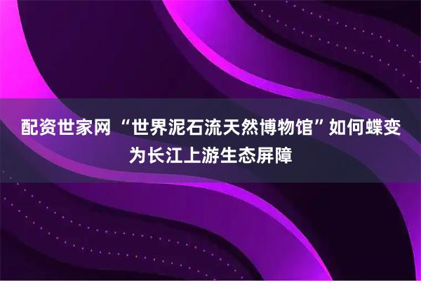 配资世家网 “世界泥石流天然博物馆”如何蝶变为长江上游生态屏障