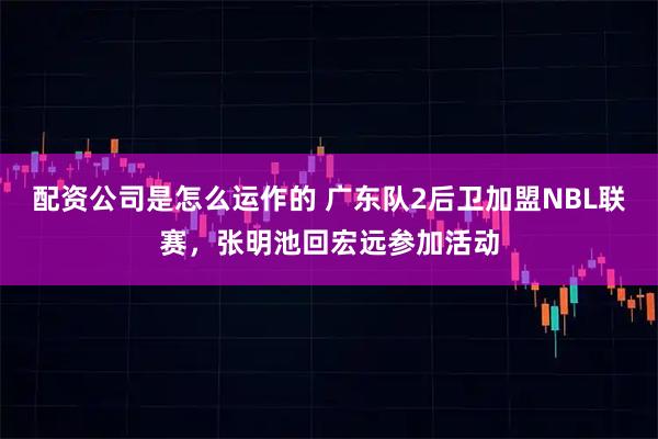 配资公司是怎么运作的 广东队2后卫加盟NBL联赛,张明池回宏远参加活动
